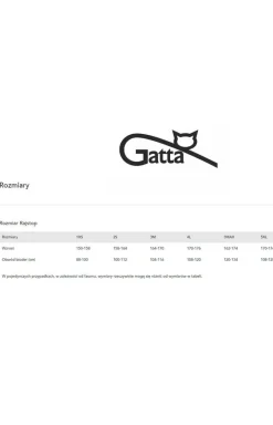 Gatta Rajstopy We Wzory|Rajstopy - rajstopy damskie w serduszka Lovely 0 DEN wz.09