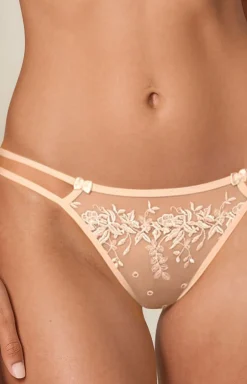Sari stringi
