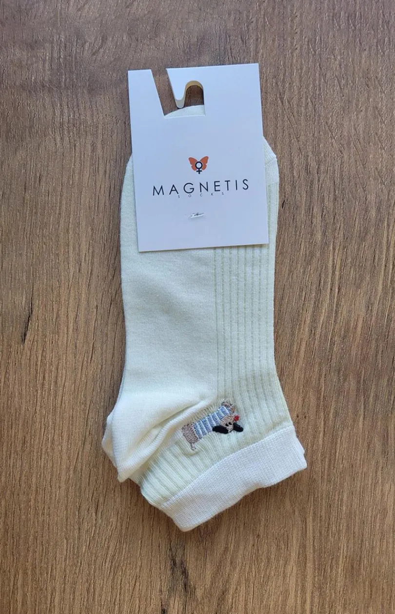 Damskie Magnetis Skarpetki|Kolorowe Skarpetki - Skarpetki damskie w paski pistacjowe Jamnik
