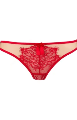 V-9588 stringi